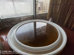 -春晖园度假酒店温泉