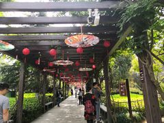-白马涧龙池景区