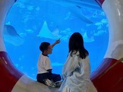 -烟台海昌鲸鲨海洋公园