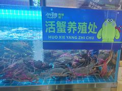 -徐记小怪兽肉蟹煲店(哈西万达金街店)