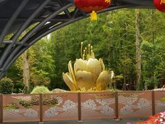 -东平国家森林公园