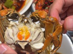 -杨氏青龙虾·羊蝎子(金盛路总店)