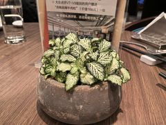 -佘山世茂艾美·御珍轩中餐厅