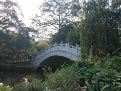 -小洲村