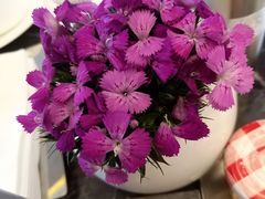 -春满园·早茶·粤菜·宴会(前海店)