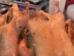 -杨震卤菜旗舰店