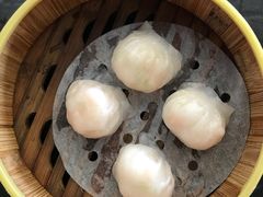 -金碧轩粤菜海鲜大酒楼