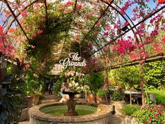 -The Grounds of Alexandria