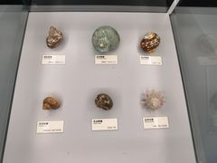 -天津古林古海岸遗迹博物馆