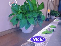 -宫七SPA·高端Massage(浦东大道店)