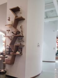 -可爱多国际儿童摄影会馆(龙泉店)