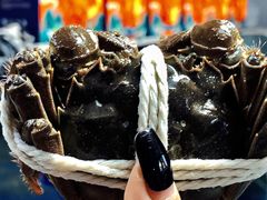 -阳澄湖大闸蟹·琼灵阁牌品牌连锁(吴中总店)