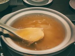 -新同乐鱼翅酒家(美丽华店)