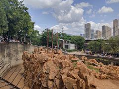 -昆明动物园