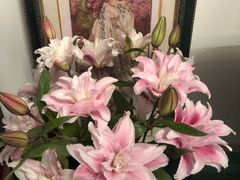 -双季花艺园艺市场(浦东店)