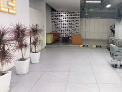 -P.STYLE派斯造型