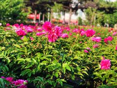 -吉林大学(前卫南区)