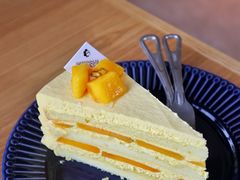 芒果千层-宿咕XXSHOKU(望江苑店)