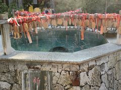 -韶关经律论国际酒店温泉