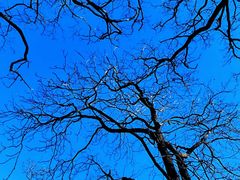 -鹫峰国家森林公园