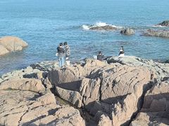 -青岛海滨风景区小青岛