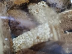 -大顺斋(牛街店)