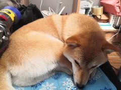 -About Bistro關於·泰式家庭料理