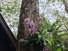 -厦门园林博览苑