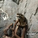 魔都遛娃圣地[胜利]小小动物元