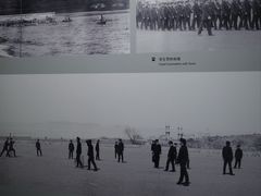 -烟台市博物馆
