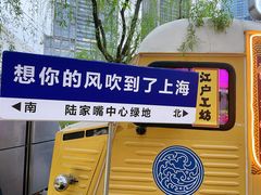 -陆家嘴中心绿地