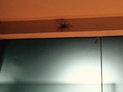 大旅小舍客栈-深圳大旅小舍精品艺术民宿