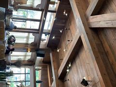 -一棵树·意大利西餐厅One Tree(新城店)