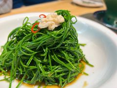 -蒙料·手把肉(望京店)