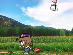 -泸沽湖国家级风景名胜区走婚桥