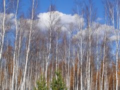 -北极村旅游风景区