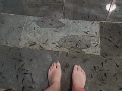 -兴芮温泉度假区