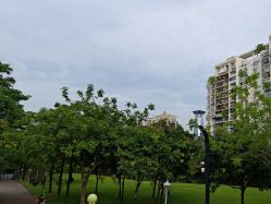 点击看大图 -深圳市儿童乐园