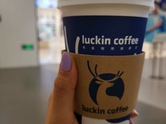 -瑞幸咖啡(北美N1购物中心店)