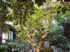 -海韵人家.海景花园经典云南菜(双廊店)