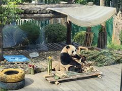 -大连森林动物园