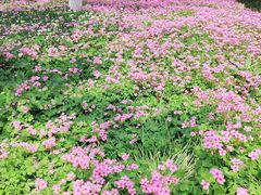 -汉长安城未央宫国家考古遗址公园