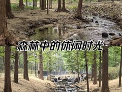 -白水寺森林公园