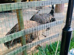 -石家庄市动物园