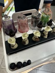 -薇薇安花系SPA