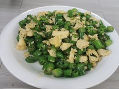 -特种渔场