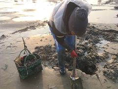 -北海金海湾红树林生态旅游区