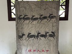 -上海醉白池公园