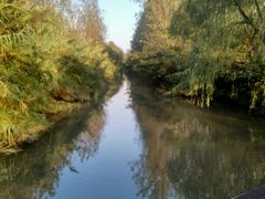 -溱湖国家湿地公园