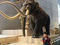 -Behring World of Animals(上海自然博物馆店)